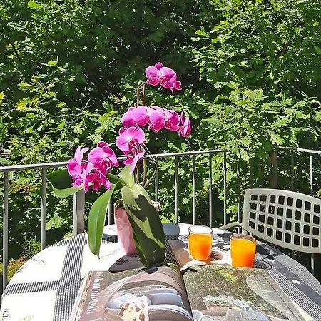 Il Melograno Di Puegnago Igs01356 Sya Raffa